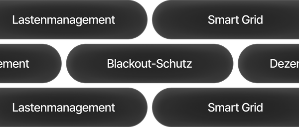 netzparalleltechnik